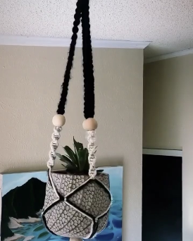 Plant Hanger