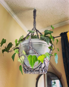 Plant Hanger